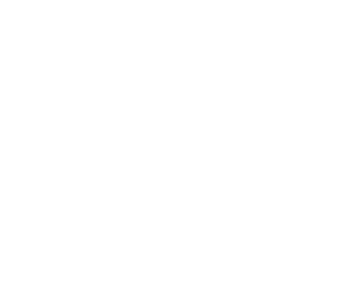 FIZZI logo